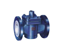 X43F46�r�������y